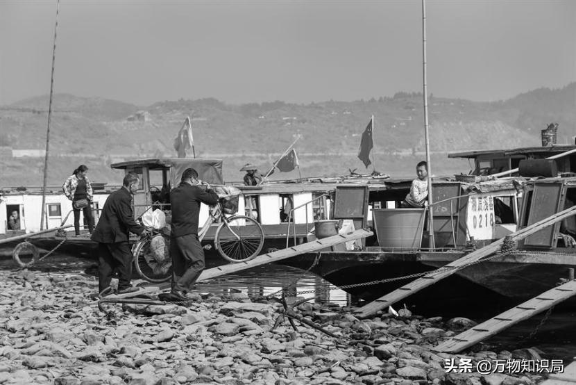 从喂鸡喂鸭到一条11万,我国狠心流放30年,为何还救不起一条鱼?