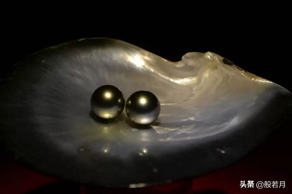 市面上99%的珍珠是什么,市场上卖的珍珠为啥那么便宜