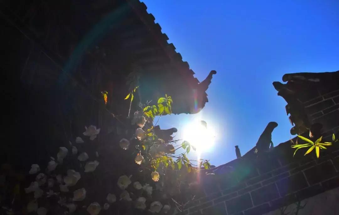 看了照片，我3秒钟就决定要去丽江