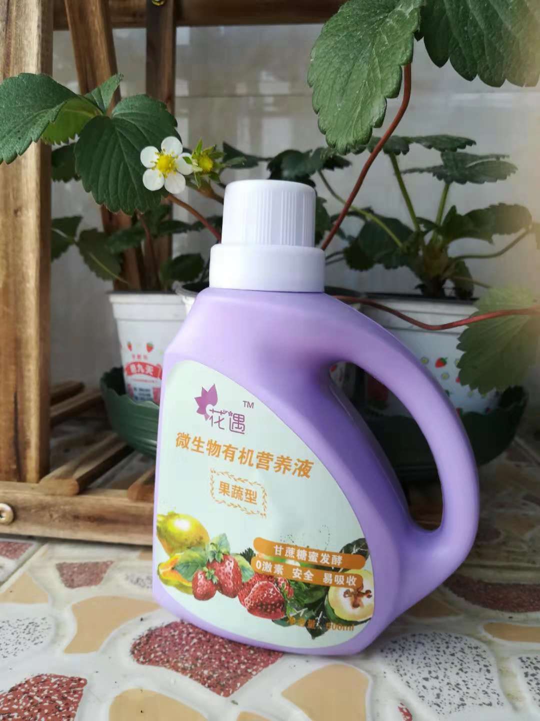 天了噜，花遇福利，“清凉”来袭啦