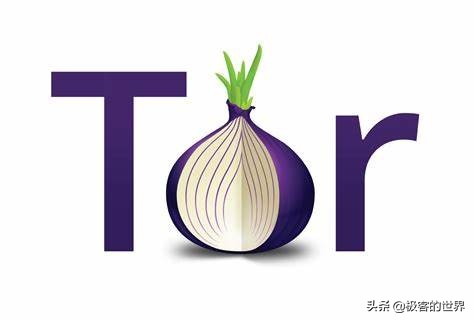 主流浏览器的个人隐私保护情况,安全隐私限制最少的浏览器