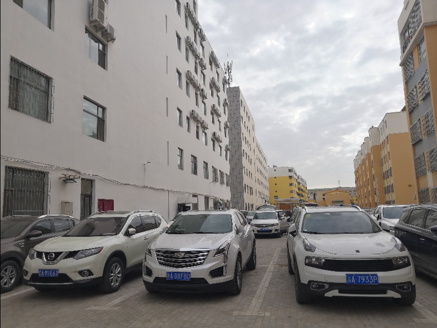 中卫沙坡头攻略,中卫沙坡头一日游攻略