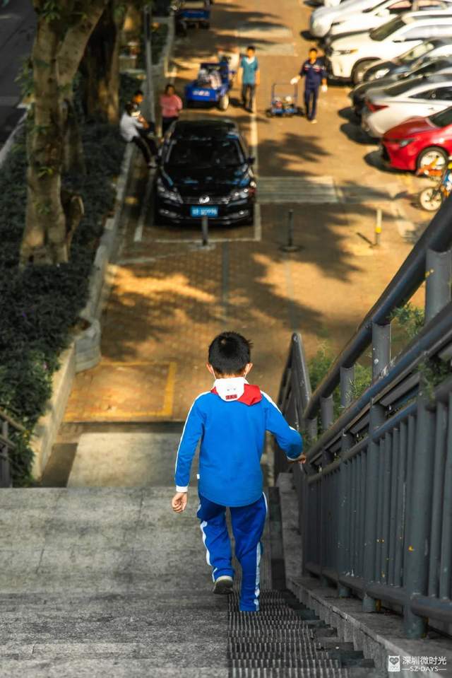 罗湖区莲塘有什么好玩的,罗湖莲塘风景