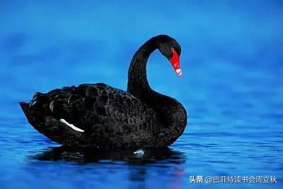 中牧股份股票怎么样,中牧股份最新分析