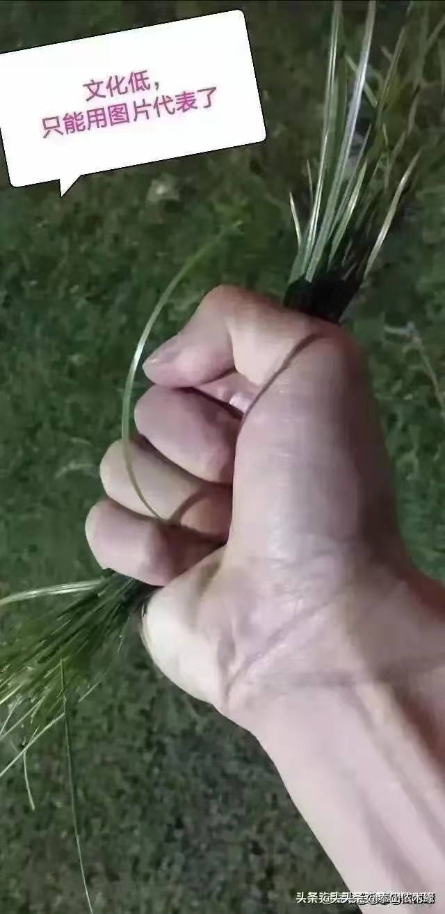 青岛胶州机场附近房价,胶州机场周边房价