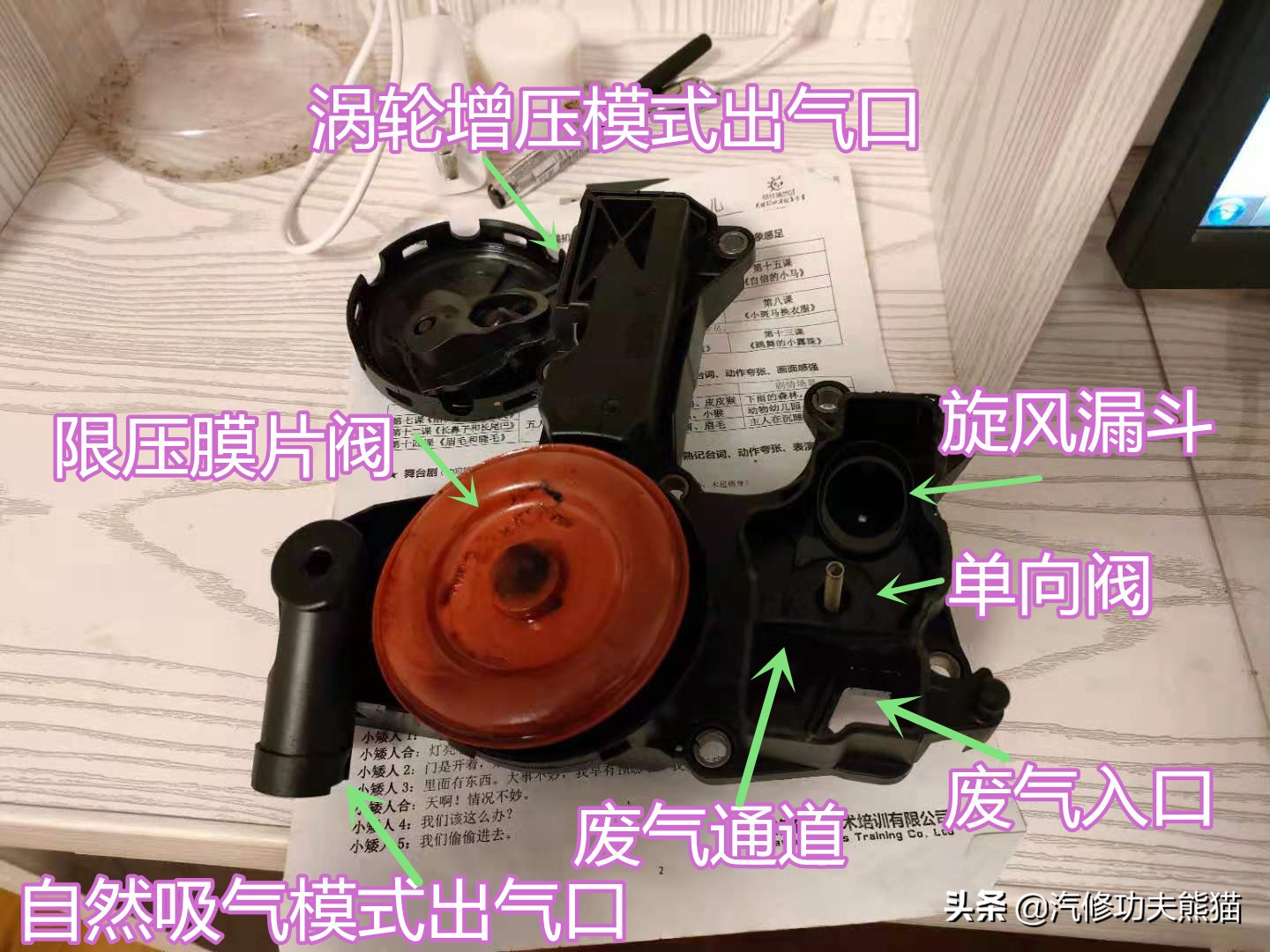 大众奥迪的废气阀的工作原理,老奥迪废气阀故障现象怎么解决