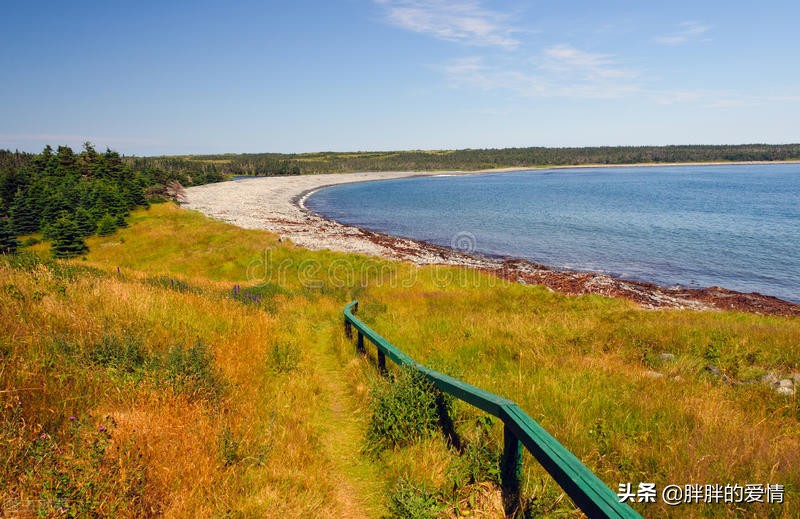 耐得住寂寞才守得住繁华经典句子,来是偶然去是必然且行且珍惜