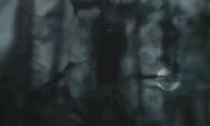 狼殿下渤王找到解药了吗,狼殿下疾冲结局