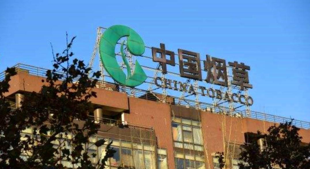 铁饭碗专科招聘,适合学生报考的国家编制铁饭碗