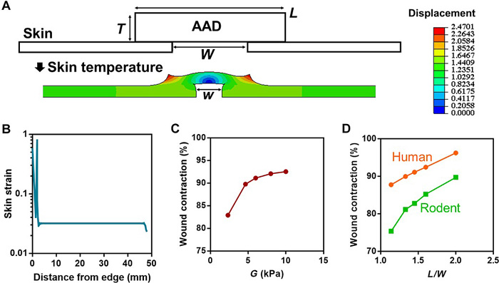 受伤防水创口贴,创口贴止血多久见效