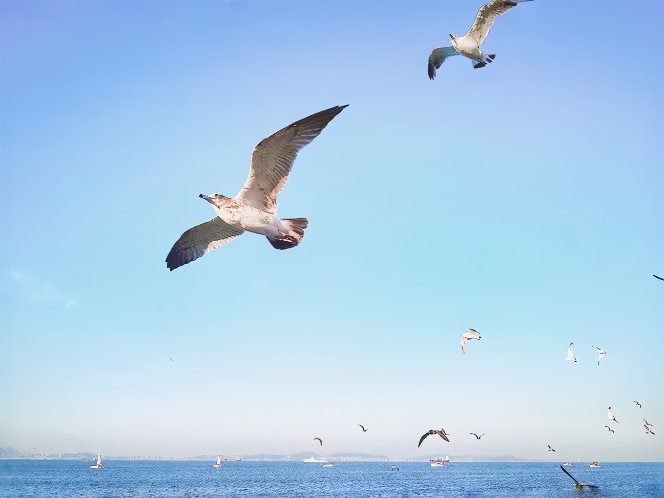 大连金石滩冬天一路美景,漫步在大连金石滩的黄金海岸