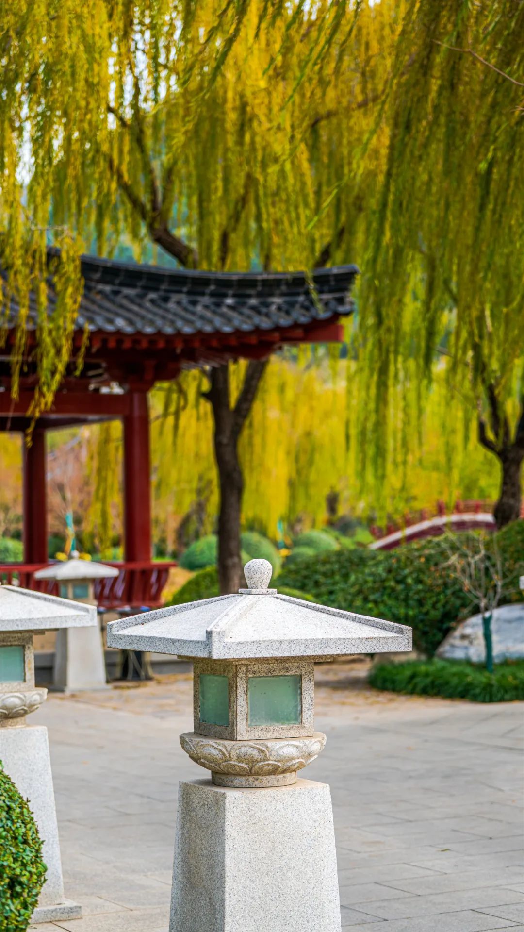 华清宫的初冬美景，惊艳了谁的时光？