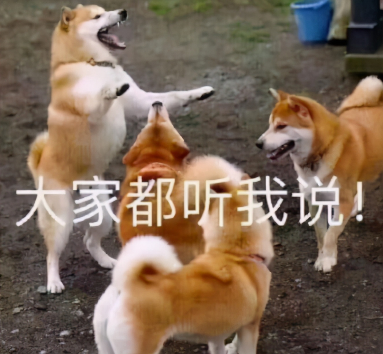 大学冷门专业但前景好,冷门专业却很好就业的专业