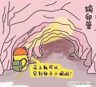 切除一侧输卵管对女性有什么影响,切除一侧输卵管还有受孕的可能吗