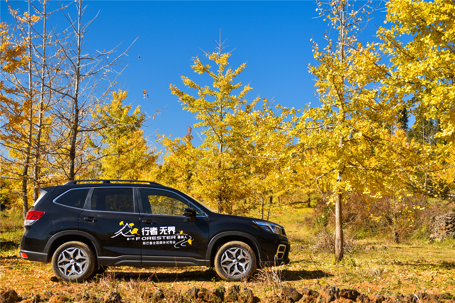 2.0自吸cvt的车能买吗,2.0cvt森林人