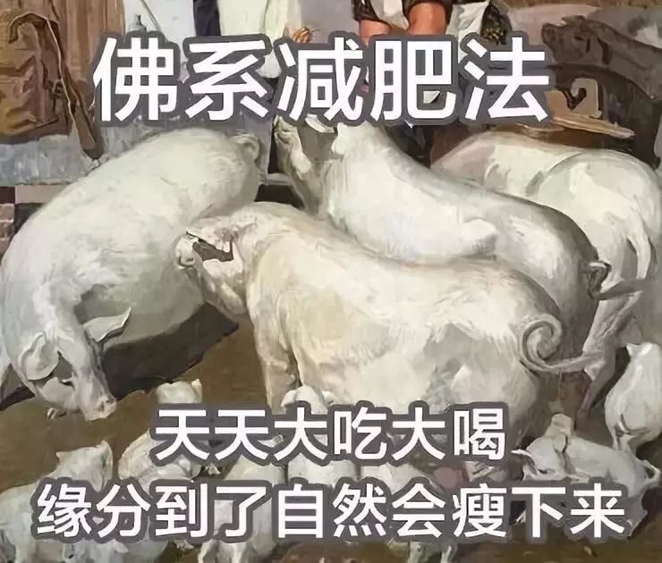 女生长胖的正确方式,女生是怎么长胖的