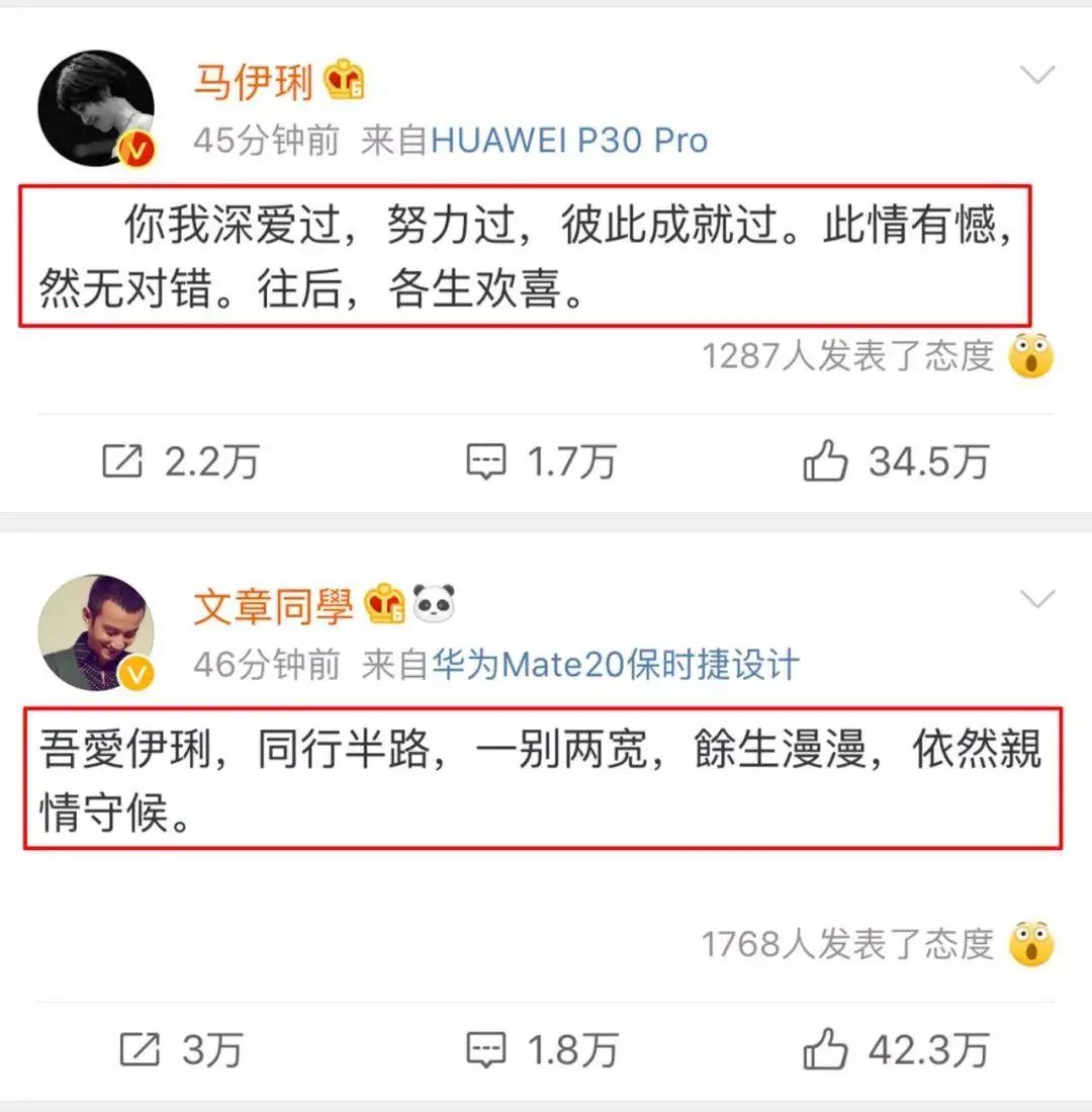 文章马伊琍为什么要几年后才离婚,马伊琍和文章离婚的真正原因
