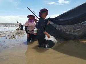 毛道国入选浙江好人,彭清林浙江好人