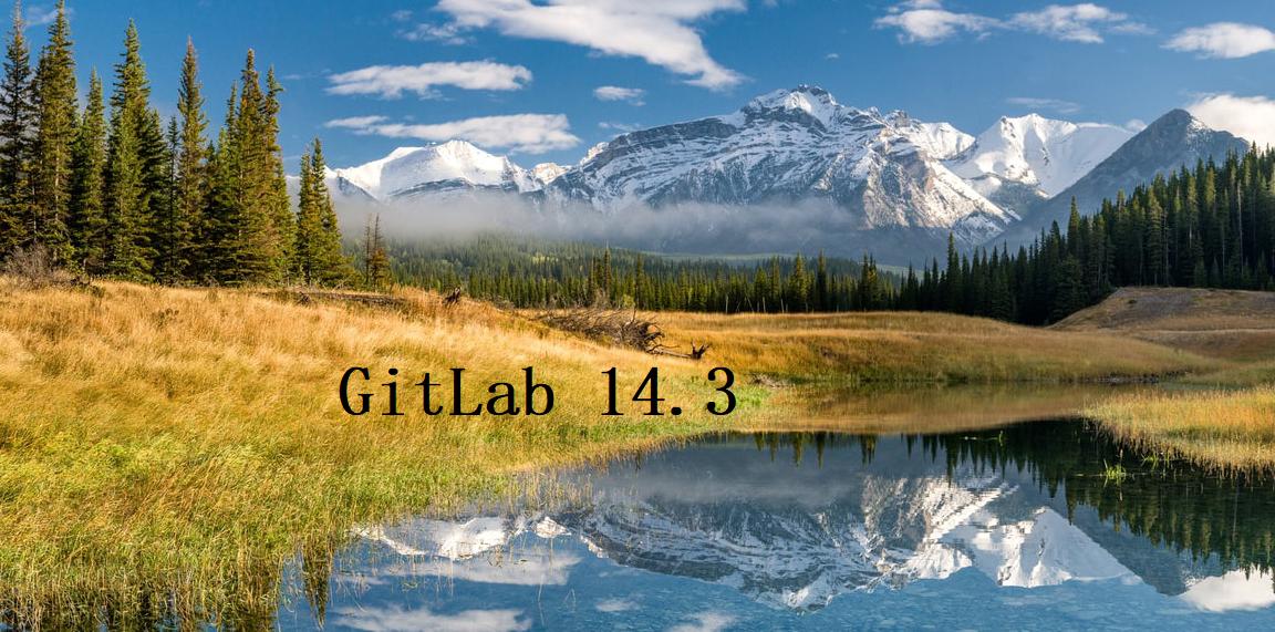 gitlab更新版本,gitlab有哪些版本
