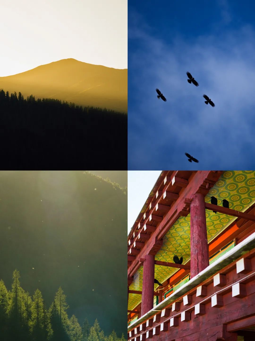 甘孜道孚旅游攻略一日游价格,去甘孜攻略