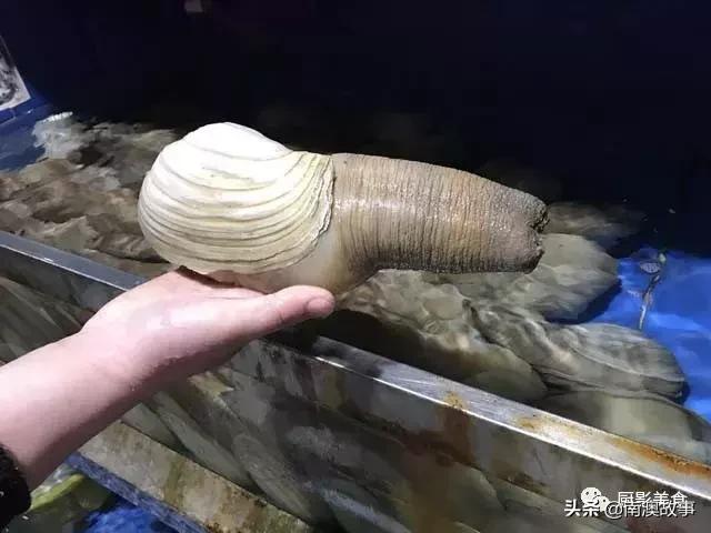 水煮贝壳类海鲜煮多久,海边海鲜用什么水煮好吃