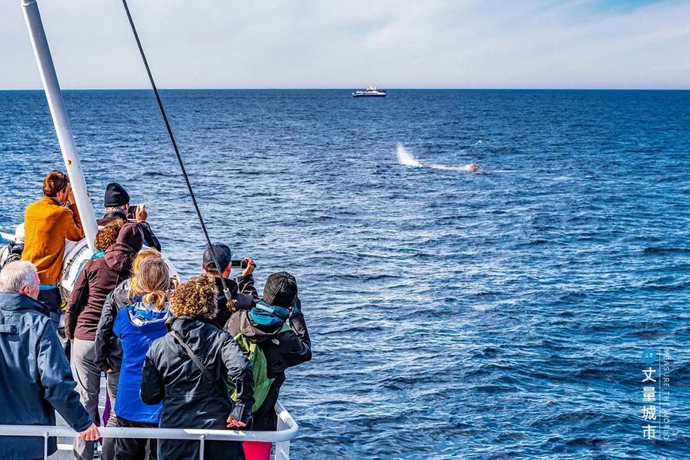 维京遇到全域旅游,美丽乡村、特色小镇一网打尽:挪威渔业史漫步