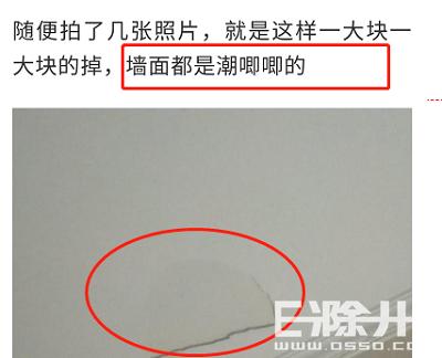 墙纸发霉撕下后墙壁有霉斑,气候潮湿墙纸发霉严重怎么办