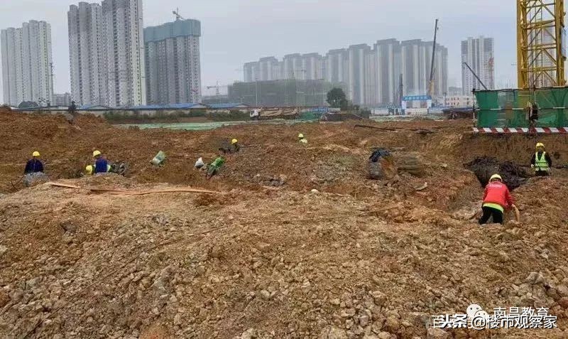 多所学校,经开区第一学校学区