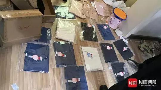 净网2019网文,净网2020能抓到诈骗犯吗