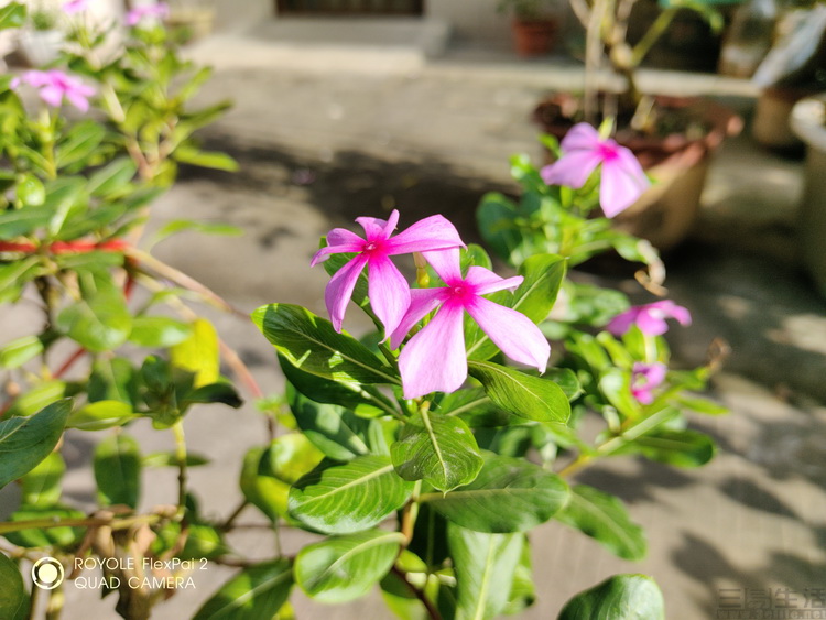 柔宇royoleflexpai2评测视频,柔宇flexpai25g折叠屏