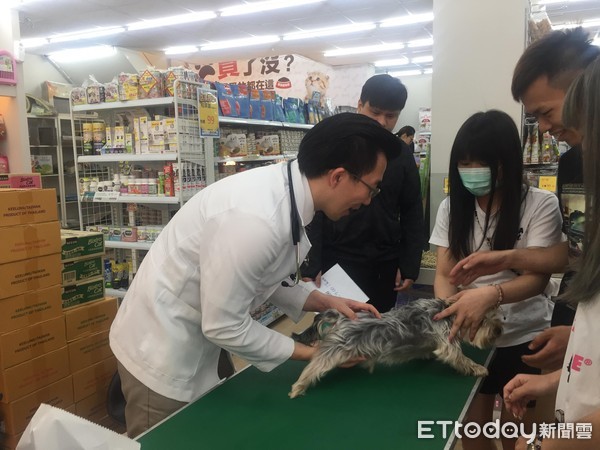 汪等待健检皮皮挫！　她养柴6年才知毛孩牙结石