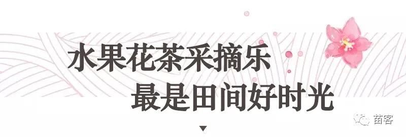 微时光田东,微时光美好生活