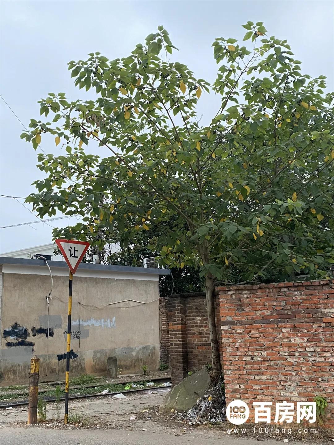 湖南省郴州市未来的发展前景如何,县城真的没有未来吗