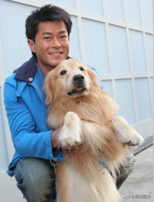 娱乐圈那些感人的事,明星与宠物的感人瞬间