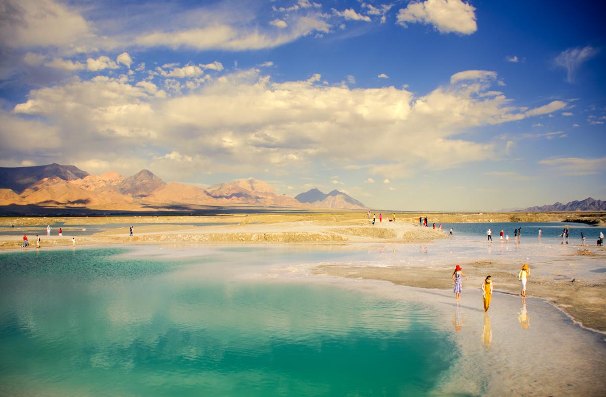 我的旅行日记之青海,我的旅行日记高原茶场