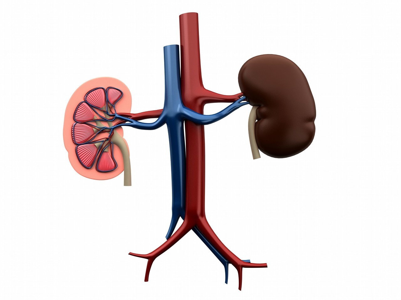 心衰治疗中的利尿剂,心衰治疗中的利尿剂抵抗及处理