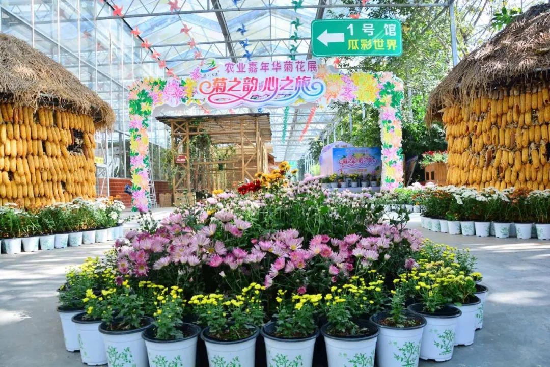 中农富玉大事记,中农富玉未来发展趋势