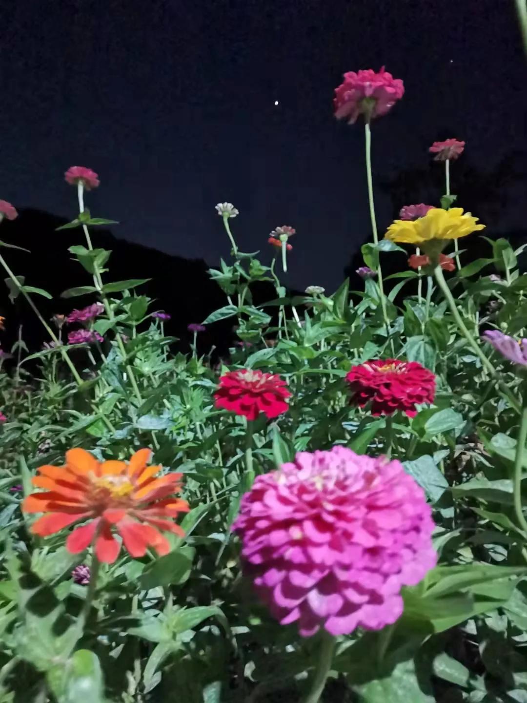 蓟州区诗词,关于天津蓟州的古诗