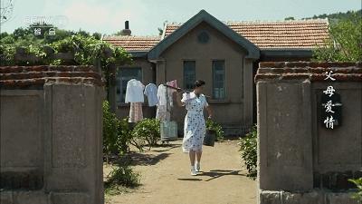 父母爱情为何拿奖,父母爱情总共获得几回奖