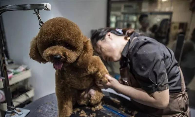 小投资创业项目小本创业,创业项目低成本适合穷人加盟