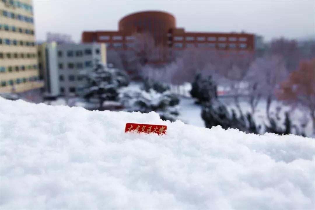 辽宁省普通高等院校大连大学,辽宁省交通高等专科学校15届