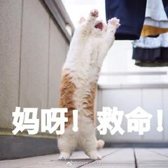 有趣的灵魂大家一起聊天,聊天有趣的灵魂