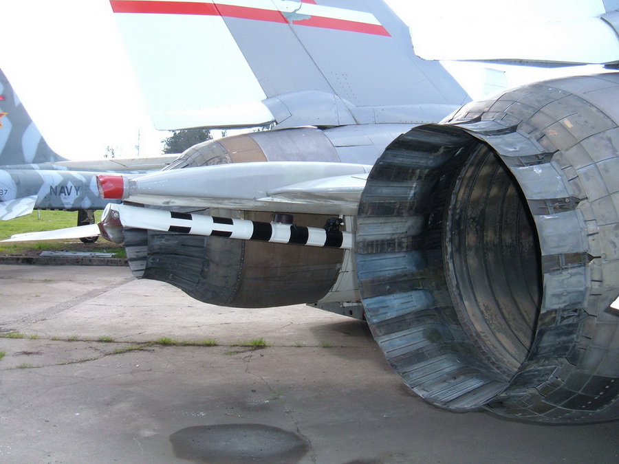 猫咪需要哪些用品,猫迷惑新技能