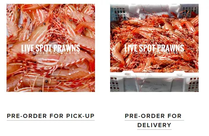 斑点虾开卖!最全购买地址请收好,还能网购加送货上门,给力