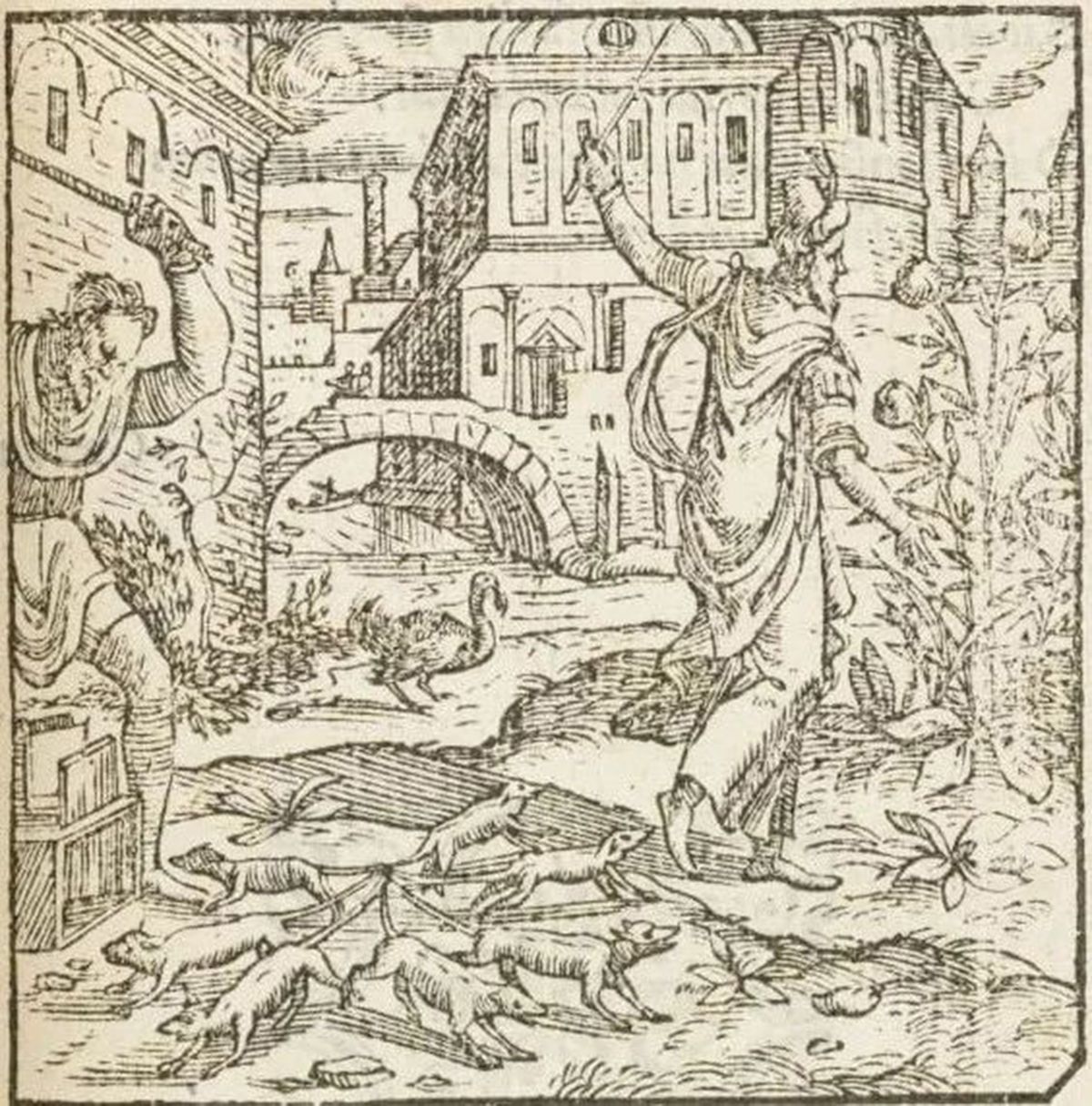 欧洲“鼠王”恐怖传说!数只老鼠缠绕成轮,真的象征瘟疫的到来?