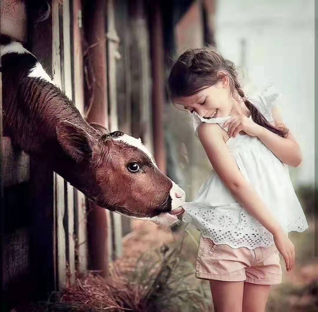 无论出现什么问题都要想办法解决,无论遇到什么事都该积极面对