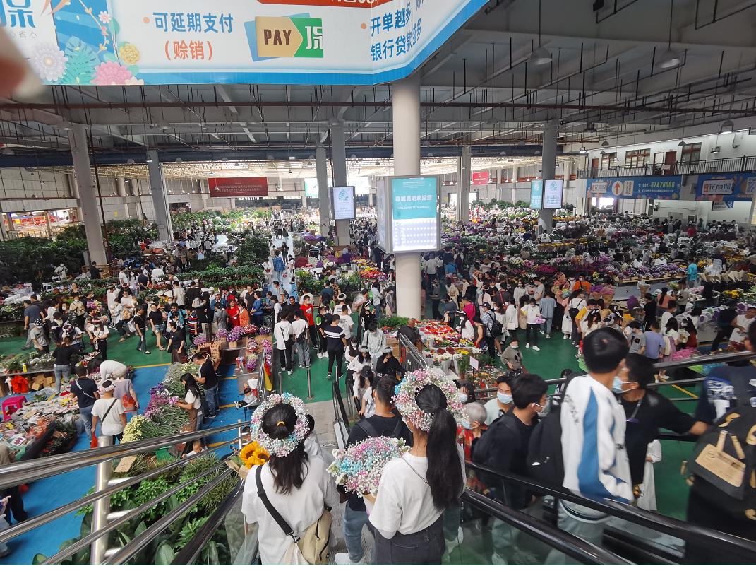 云南斗南花市旅游攻略,昆明地铁五号线到斗南花市