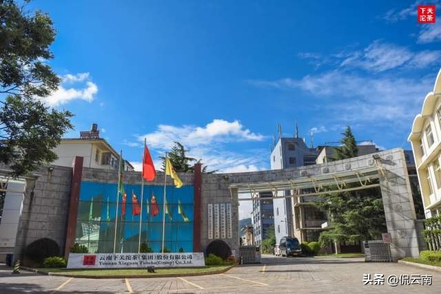 下关茶厂80庆典首款产品,下关茶厂首批下关特沱