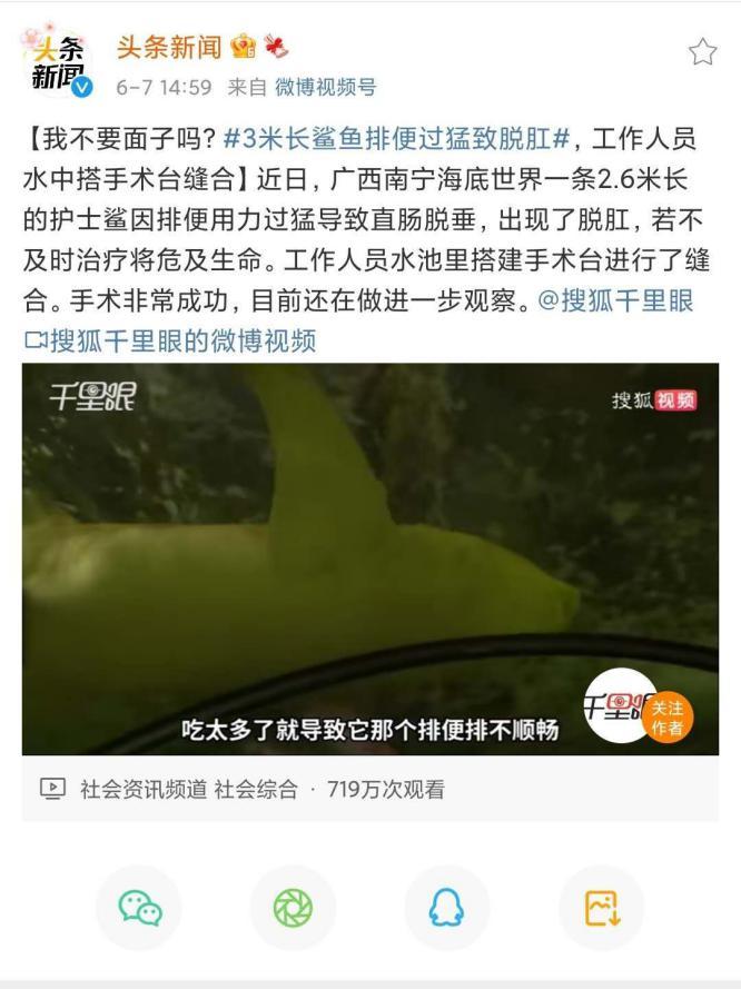 鲨鱼“拉猛了”导致脱肛，需要手术！那人脱肛也一定要做手术吗？