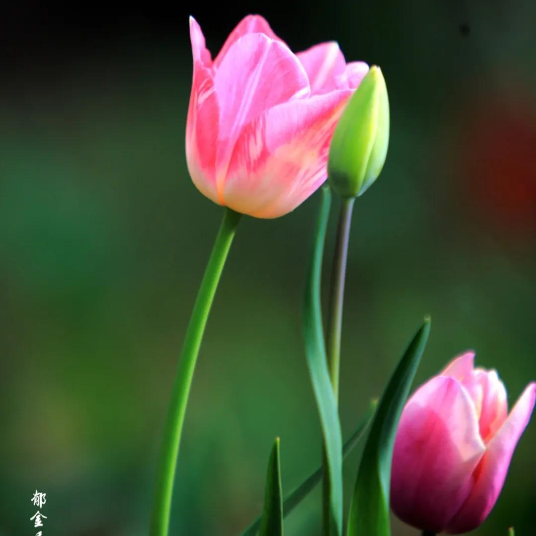 对于一个想读书的孩子如何教育,在读书的年龄选择安逸将来会怎样